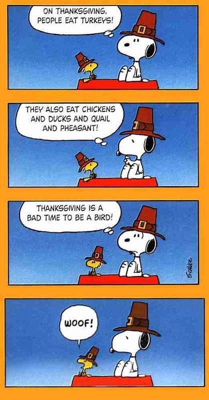 turkey-snoopy-funny2