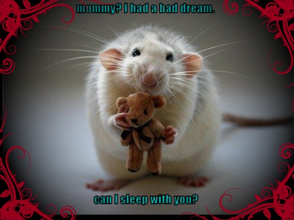 adult baby bad dream