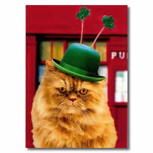 pattycat