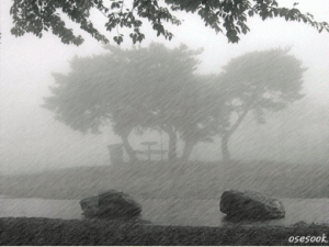 The afternoon is wet. Dark clouds are present even when it rains