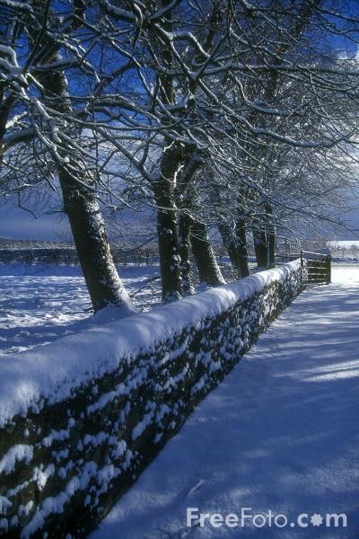 90_09_54---Winter-Scene--Northumberland_web
