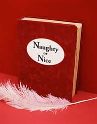 naughty_or_nice_book