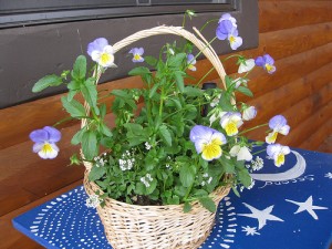 A flower bookey that looked lovely and a little plant were also present.
