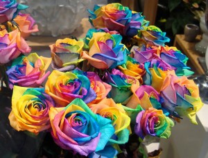 A rainbow of roses looks very lovely.