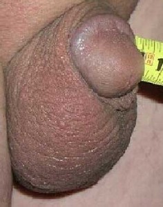 She exhibited a little penis throughout the photo shoot.