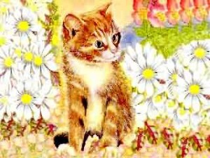 Ginger Kitten looks lovely and adorable.