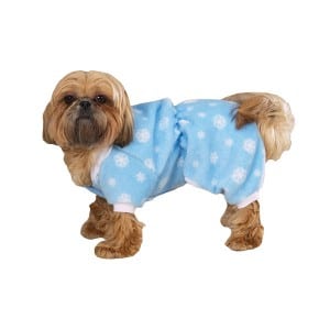 A dog was there at the Slumber Party and is posing for pictures.