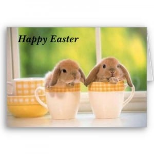 An Easter Happy Cups The Easter greetings were lovely.