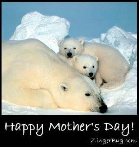 Polar Bears for Mother's Day It's beautiful and the mother's day wishes were lovely.