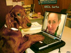A dog watching an image of a woman while using a laptop.