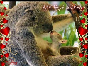 It appears that a Koala is giving birth to a lovely baby.