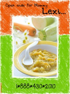 A dish of adult baby food is displayed, and the vegetables are clearly visible.