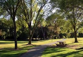 A natural garden was a sight to behold.